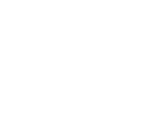 FSVL_logo_white