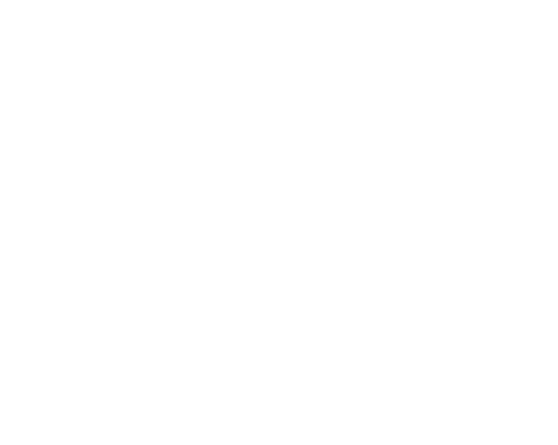 FSVL_logo_white FSVL_logo_white